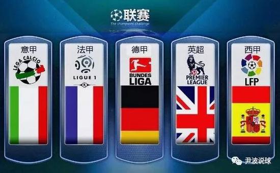 入籍球员策